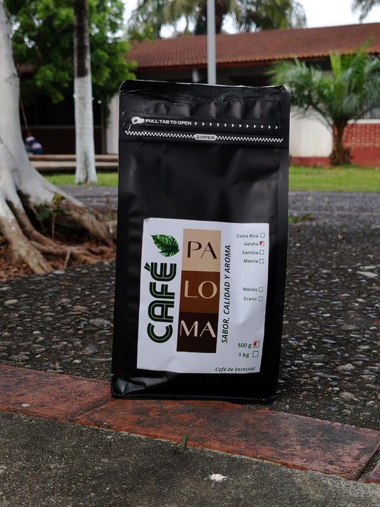 CAFÉ DE NAOLINCO VERACRUZ 1 kg